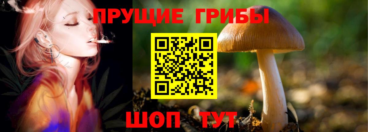 наркота  Вход с VPN  Саянск  Галлюциногенные грибы Magic Shrooms  Галлюциногенные грибы Cubensis 